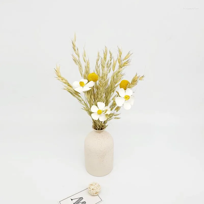Flores decorativas Folhas secas de eucalipto Casamento Deco Casamento Flor de aveia natural Amante de bola de ouro Grama Casa Decoração de sala de estar