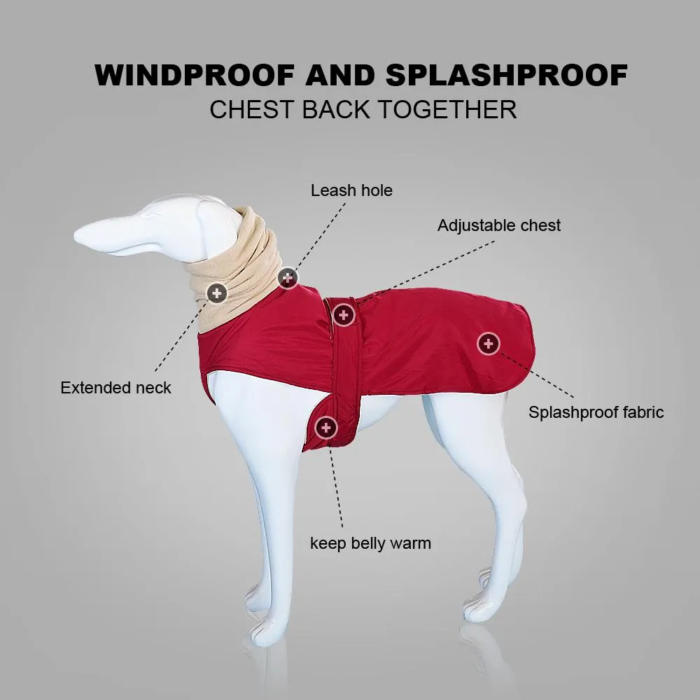 Jassen Winter Hondenkleding Waterdichte dikke hondenjas Kleding Rood Zwart Hond Warme jas Leibandgat voor middelgrote grote honden Greyhound