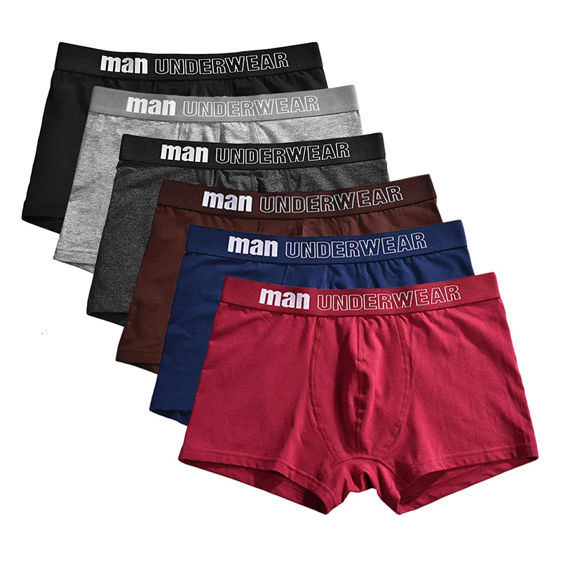 Cuecas boxers masculinas de alta qualidade short boy 3 pçsset algodão penteado respirável cueca masculina bodysuit cueca S-3XL Vetement Homme 230619