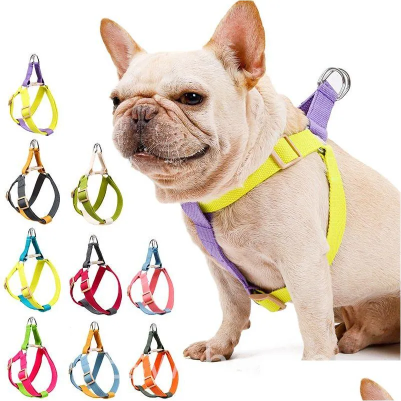 Dog Collars Leashes Rainbow Pet Chest Harness Set No Pl Adjustable Soft And For Puppy Small Medium Drop Delivery Home Garden Suppli Dh8Xz