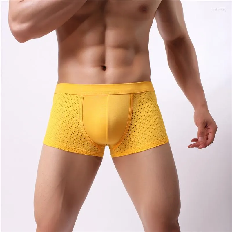 Unterhosen Sexy Männer Mesh Loch Belüftung Sommer Eis Seide Tuch Unterwäsche Mann U Convex Boxer Shorts Höschen Vier Winkel Hosen