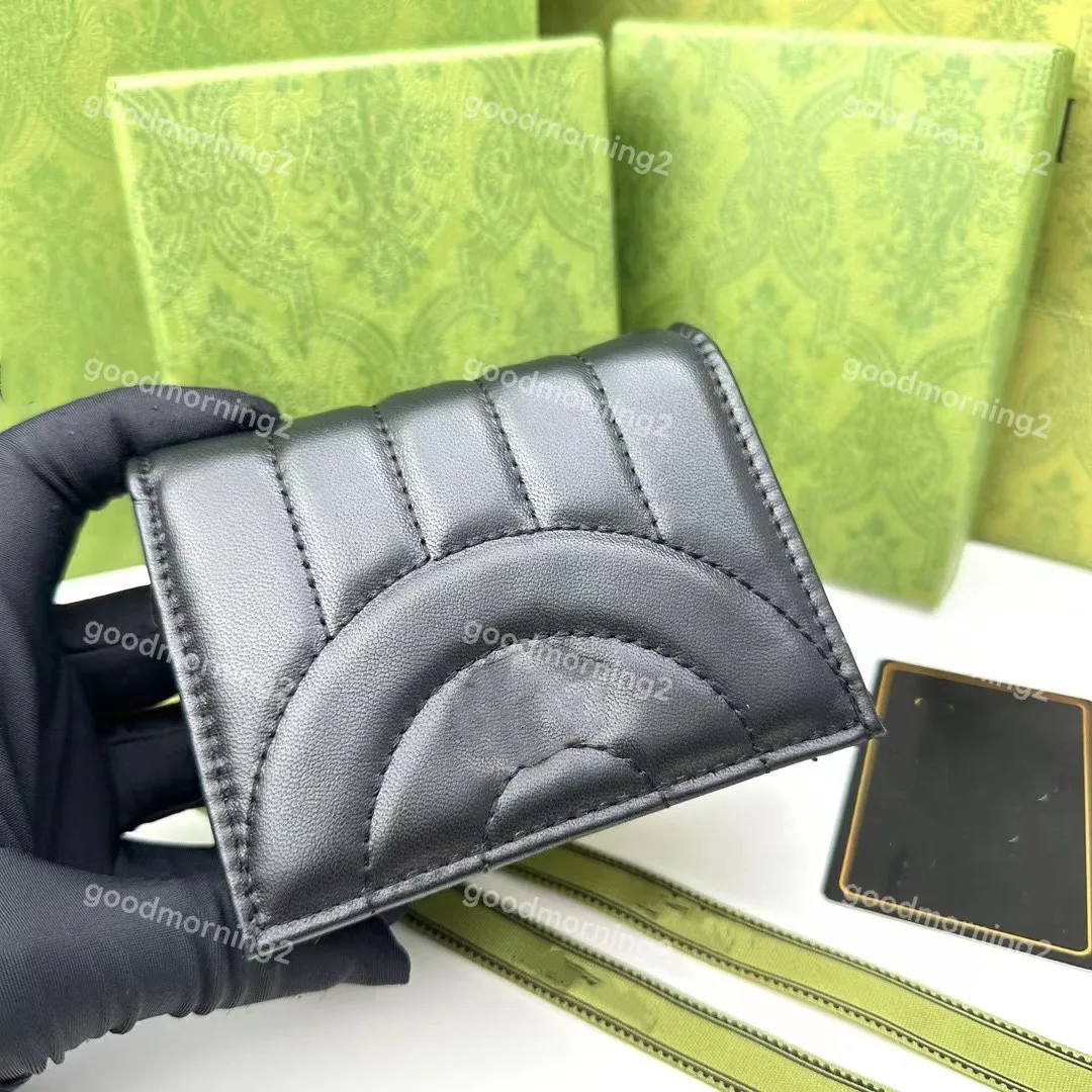 مينس للنساء المصممين مصممين محفظة سيدة قصيرة متعدد الألوان المحفظة