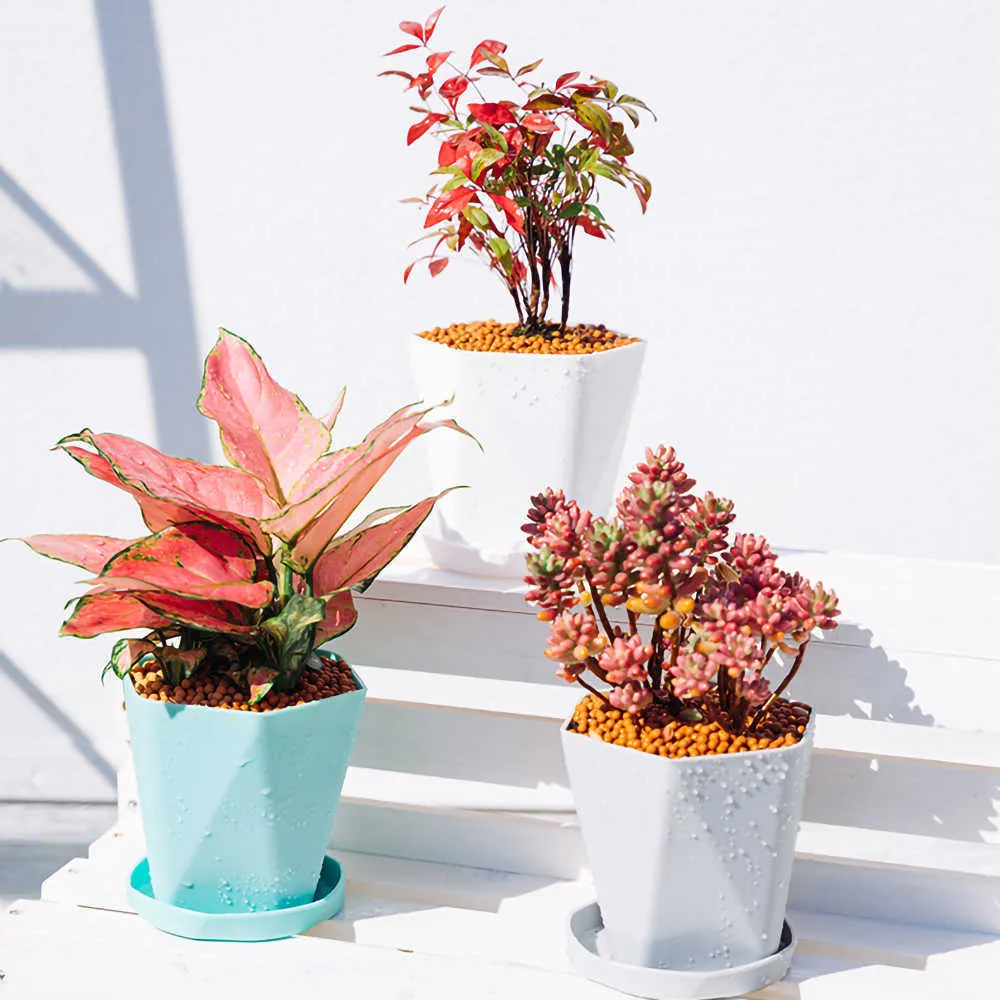 Planters Pots Buah Pot Bunga Resin Plastik Baru Geometris Nordic Sederhana Putih Menebal Berdaging Pot Bunga Tanaman Dalam Ruangan Pot Bunga