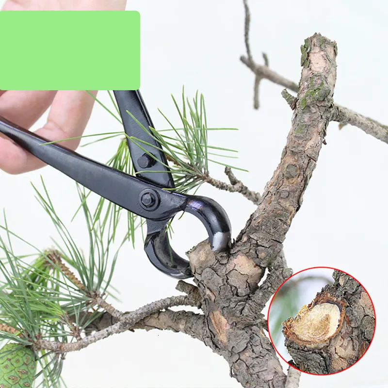 Pruning Tools Garden Bonsai Pruning Pliers For Tree... From Dao10, $10.74 |  DHgate.Com