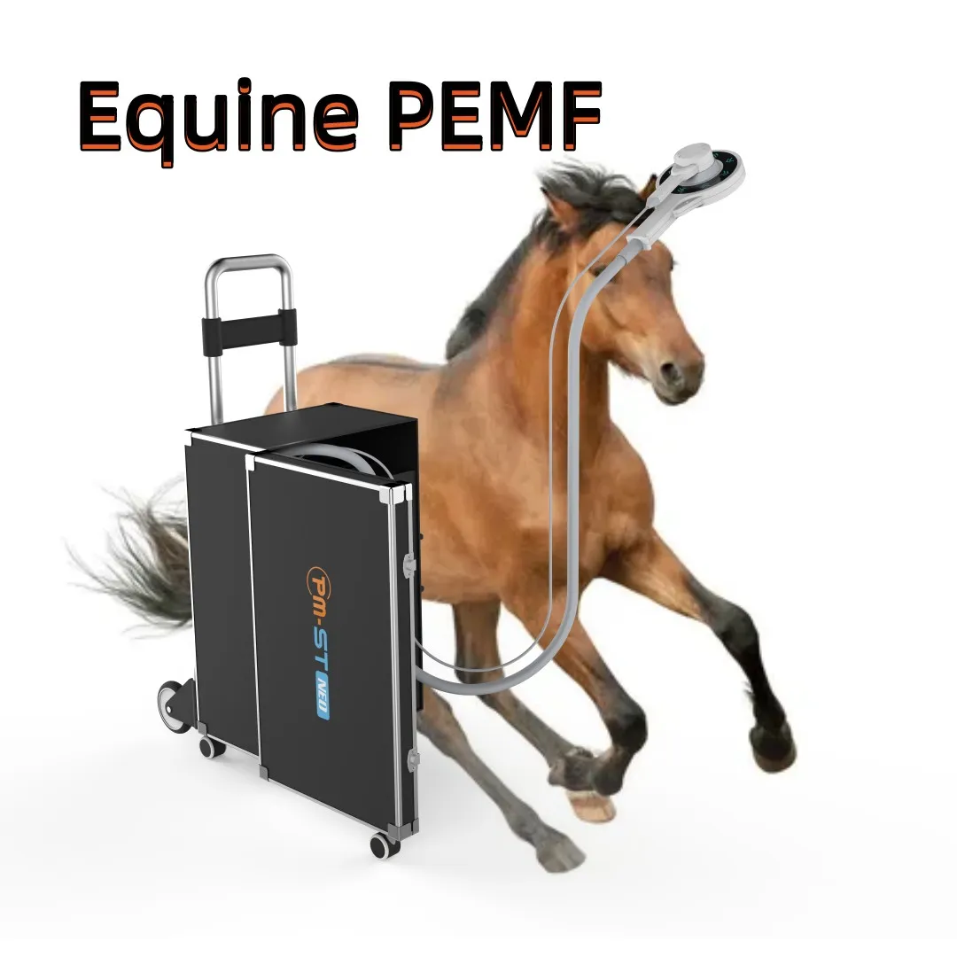 Dispositif magnétique PEMF Equine Physio pour le soulagement de la douleur du cheval avec fréquence ST et MT Mode 4Tesla Energy 3000Hz