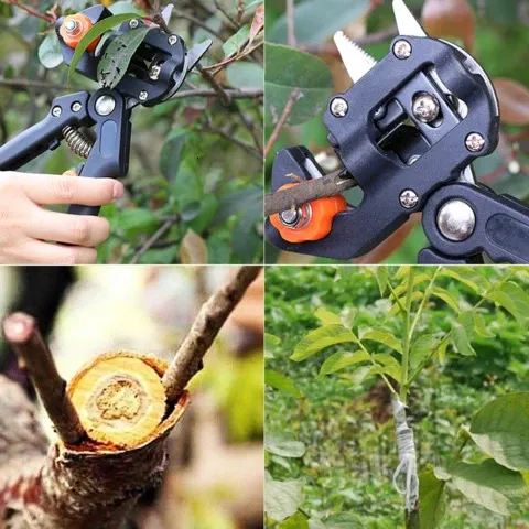 Fresh Section Tools Professional Garden Grafting Tool Set Branch Cutter, Secateur, Pruning ...