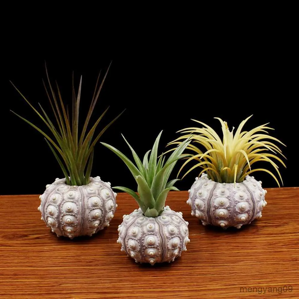 Tabletop Unique Succulent Planters For Air Plants ... From Gukoo,  Rs.2,690.15 | DHgate.Com