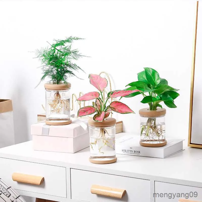 プランターポットミニ水耕栽培植木鉢透明花瓶屋内テーブル用デスクトップ用植物ポット緑色の植物ホームデコレーションR230620