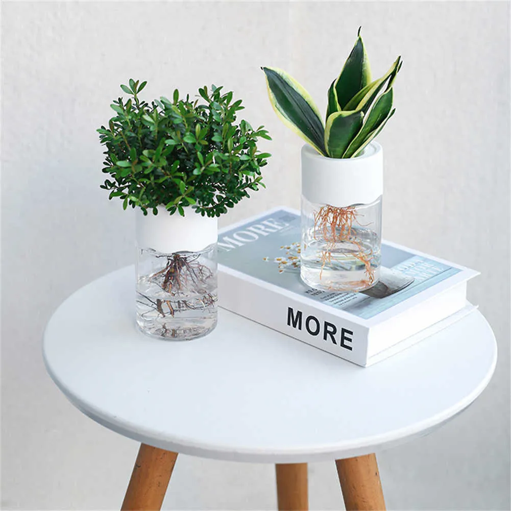 Transparent Flower Pots: Plastic Hydroponic Planters... From Mengyang09 ...