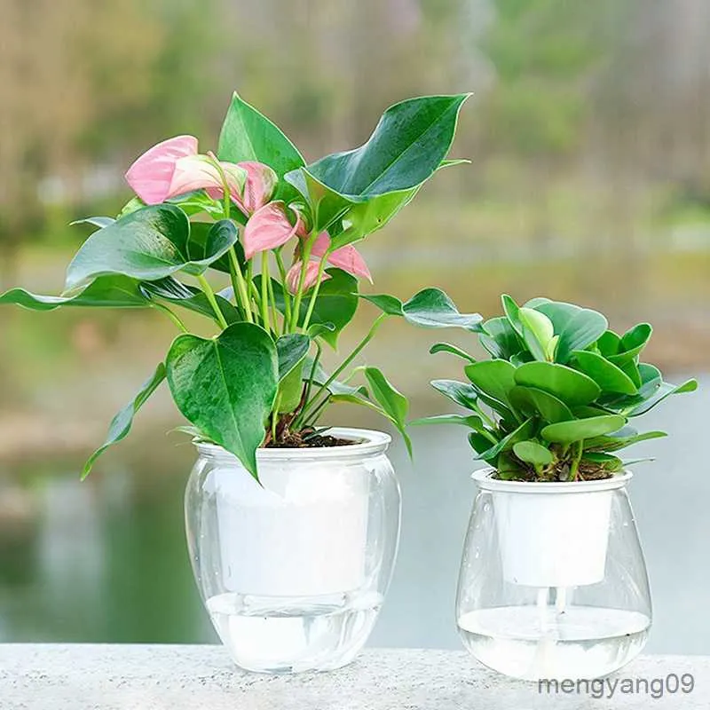 Self Watering Planter Pots Mini Round Transparent Plastic Flower Pots for  Artificial Flowers Desktop Use Red Set from Dhgate Planters & Pots - price  36.59