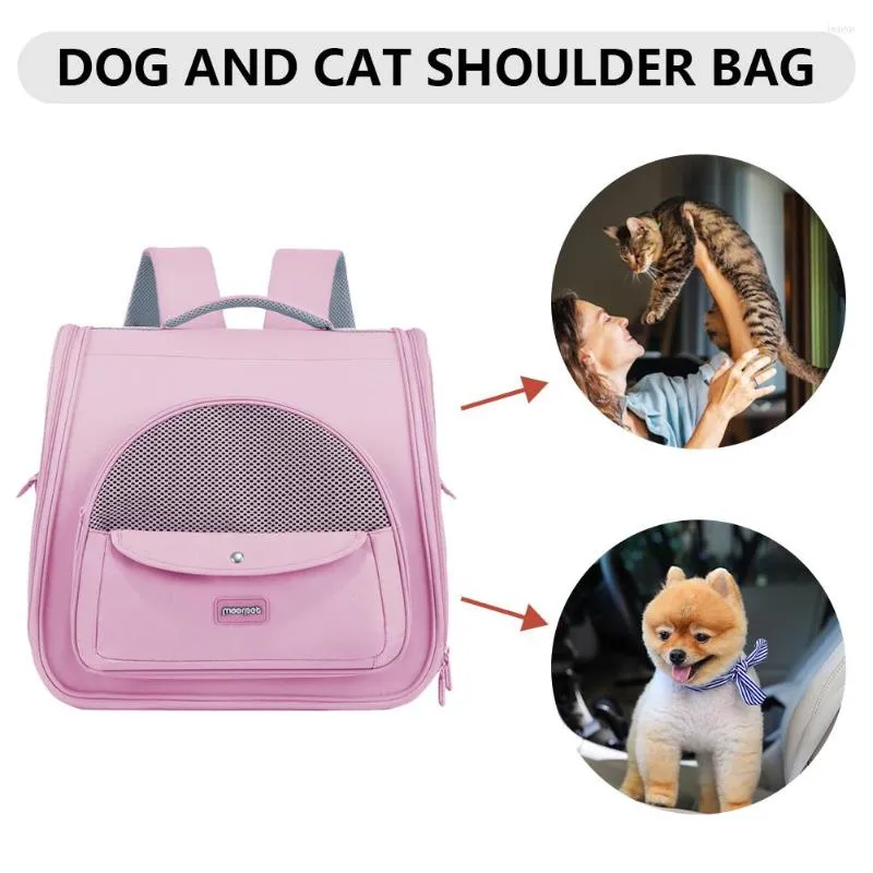 Mesh cat clearance carrier