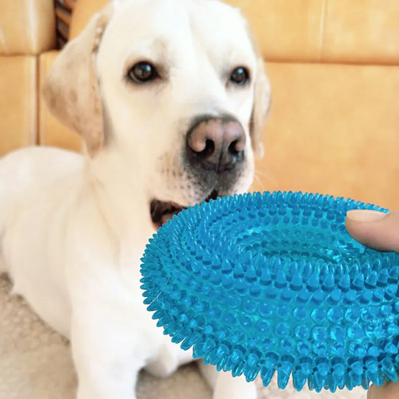 Jouets pour animaux de compagnie résistant aux morsures Jouet sonore Balle dents à mâcher propre grand Chien Golden Retriever barbelé TPR Train nettoyage des dents Jouet Chien