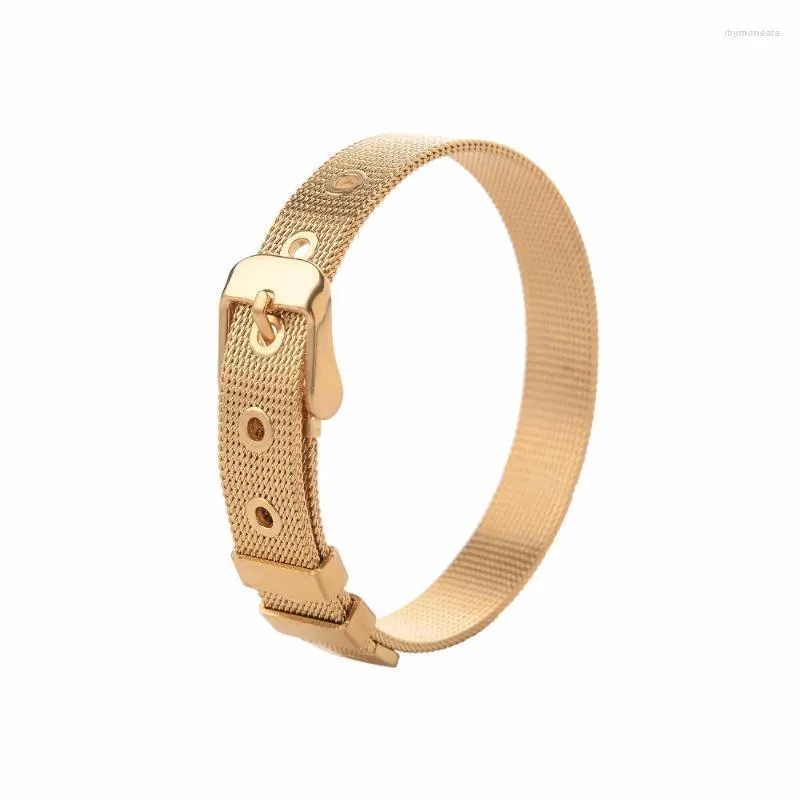 Pulseiras de elo Largura da corrente 10 mm Correia de relógio Criativa ajustável Pulseira de aço inoxidável para homens e mulheres Comprimento 22 cm Quatro cores disponíveis