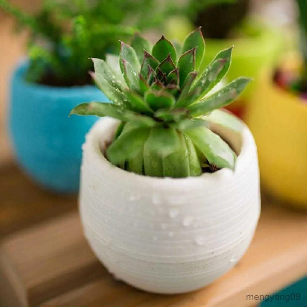 Planters POTS Flower Pot Cute Succulent Plants Saucer Tray Planter Home Desk Garden Decor Mini Plants Bonsai Small Simulated Tree Pot Plants R230621