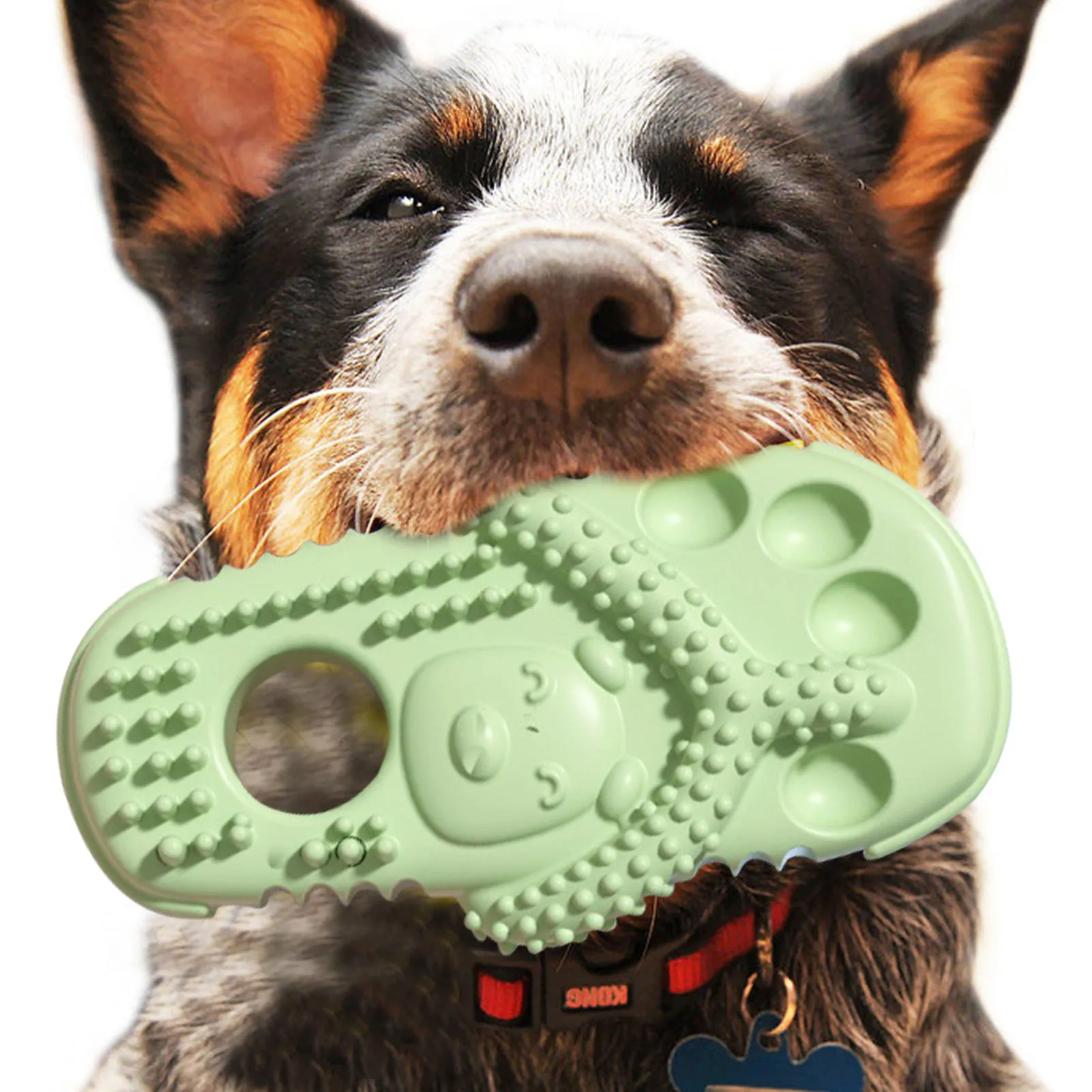 Slippper Shape Dog Chew Toys TPR Dog ząbek zabawki interaktywne szczeniaki akcesoria