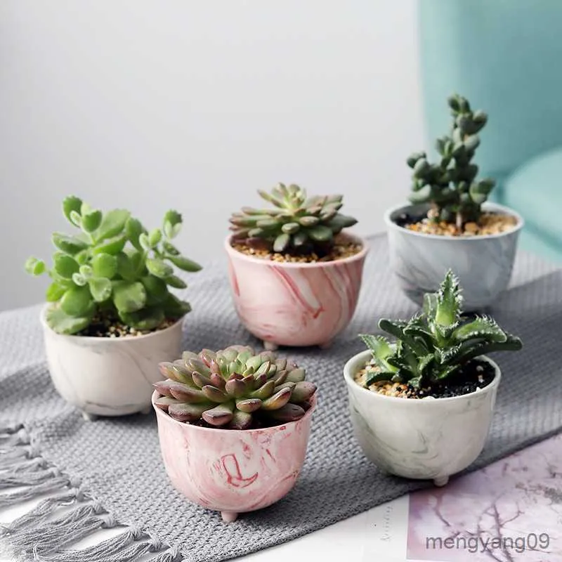 Planters POTS Marmoring More Meat Flower Pot Succulents Fleshy Cactus Ceramic Flowerpot Small Home/Garden/Office Decoration Pots Flower R230621