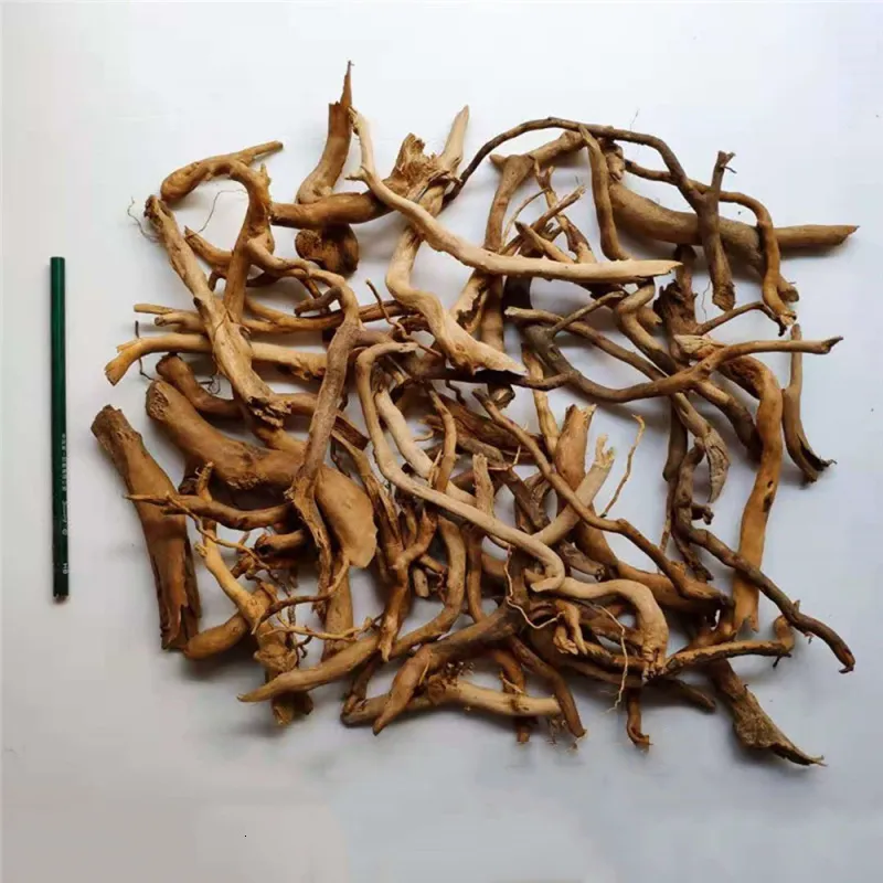 ديكورات الإبداع Micro-landscape Rattan Driftwood Tree Root DIY Aquarium Fish Tank Accorations 230620