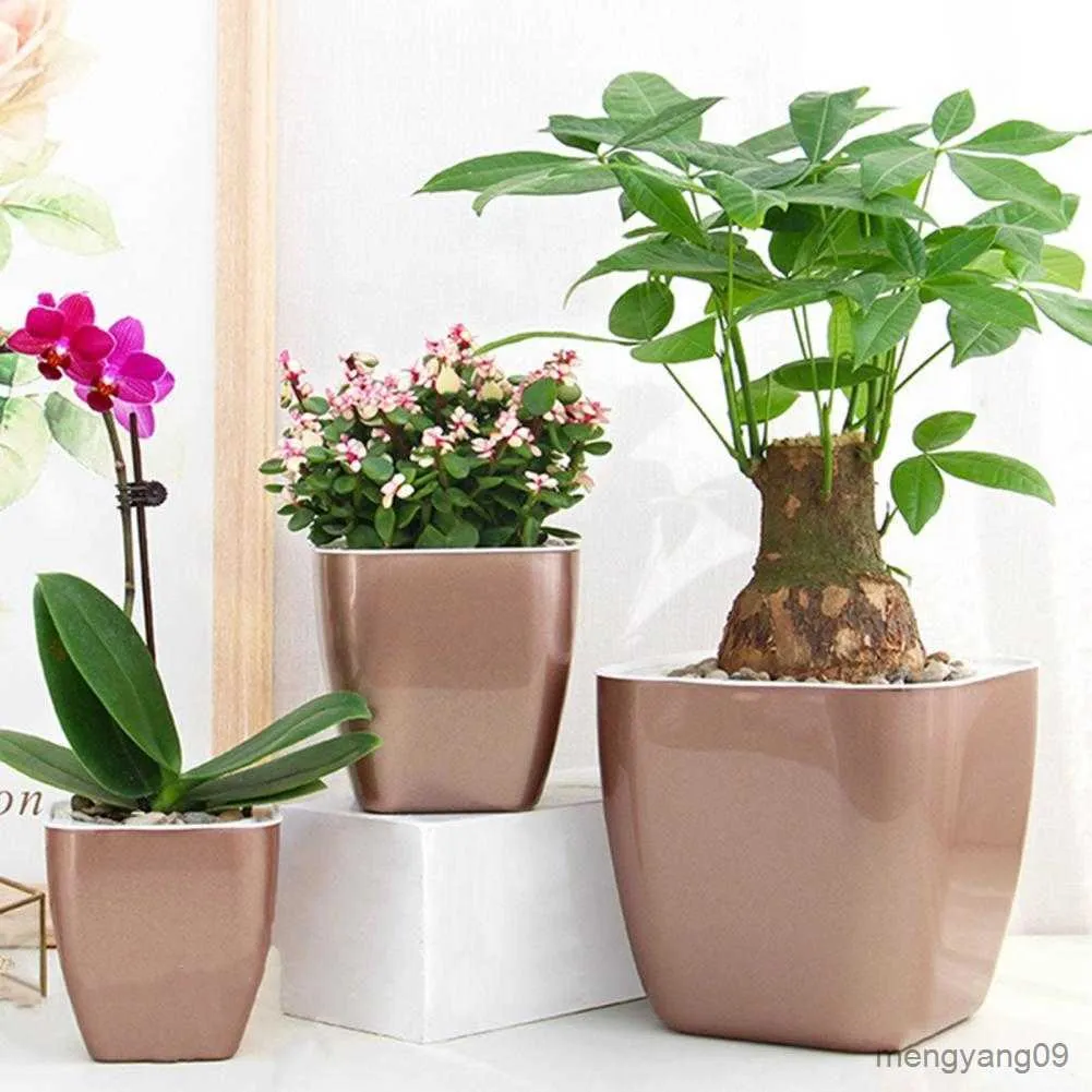 Vasos de plantação Poupança de tempo útil mini vaso de planta cores plantador quadrado sortido mini vaso de flores para pátio R230621