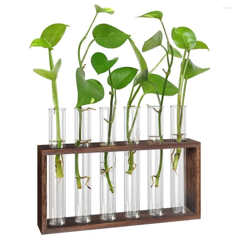 Vasos para plantas terrário com suporte de madeira para mesa/parede para pendurar na parede Estação de propagação ao vivo Plantadores Tubos de vidro hidropônicos