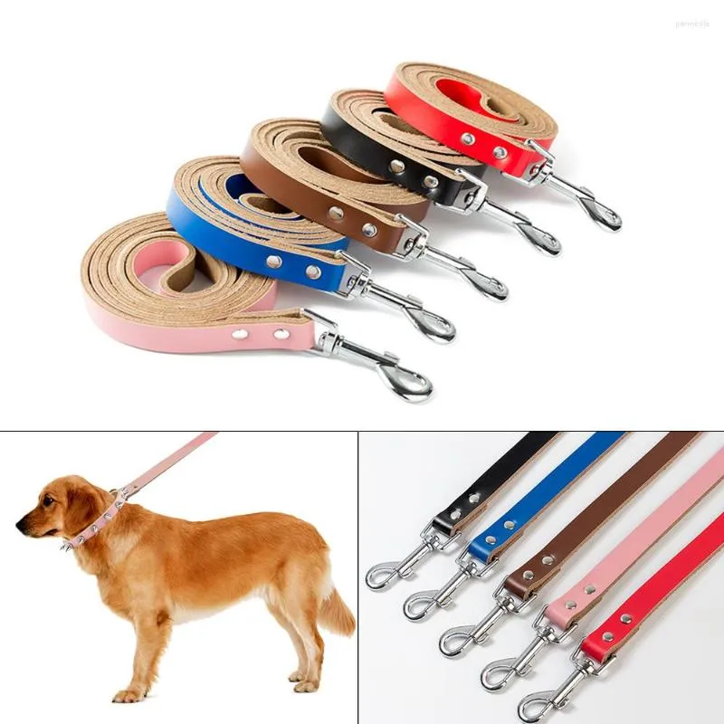 Dog Collars Leather Leash Coleira Guinzaglio Cane Honden Riem Correa Para Perro Kopek Tasma Service Accessories Leashes Hunde Leine