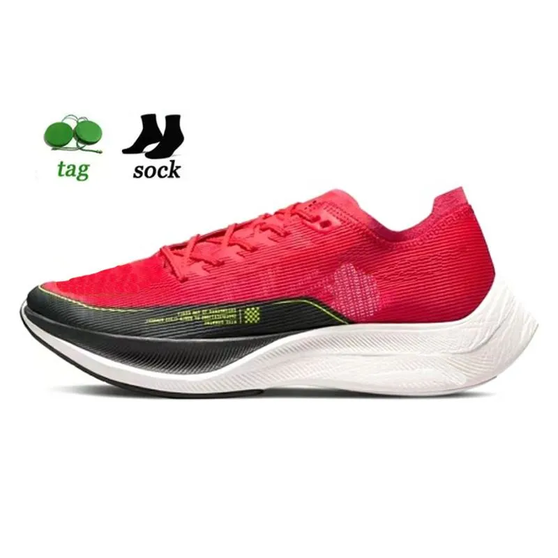Zoom pegasus 37 clearance turbo