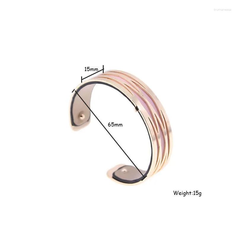 Bangle 15MM verwisselbare armband met goudkleur Geometrisch gevormd omkeerbaar Femme Bijoux 2023 Raym22