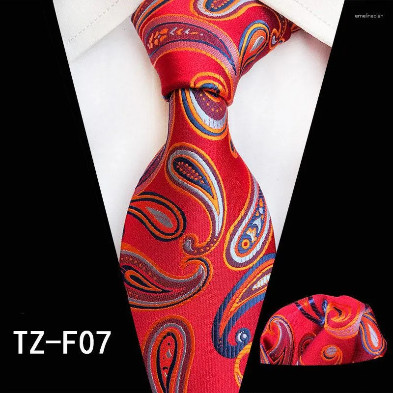 Bow Ties RBOCO14 Color Paisley Classic Men's Tie Set Neck and Pocket Square 8cm näsduk för män bröllopsfest