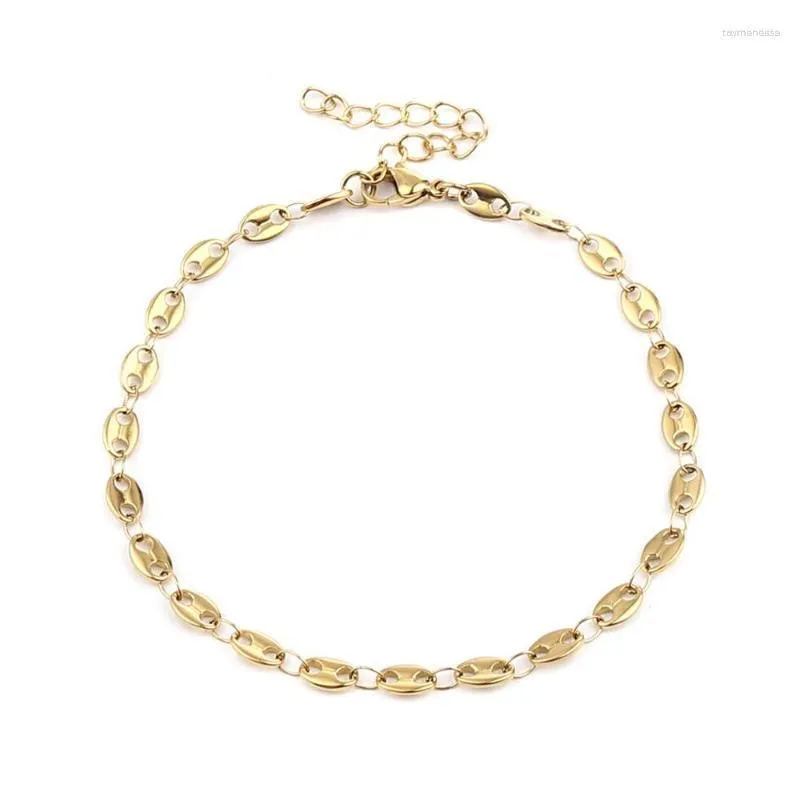 Link Bracelets Chain Doreen Box Stainless Steel Bracelet Coffee Bean Lobster Clasp Extension Anklet Jewelry 18.5/21.5/23.5cm 1PCLink Raym22