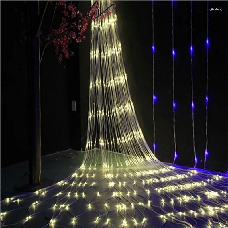 Strings 6Mx4M 3Mx2M Blue/Warm White String Light LED Fishing Net Mesh Fairy  Lights Ceiling Party Wedding Outdoor Decoration Lamps From Kerrytony,  $33.45