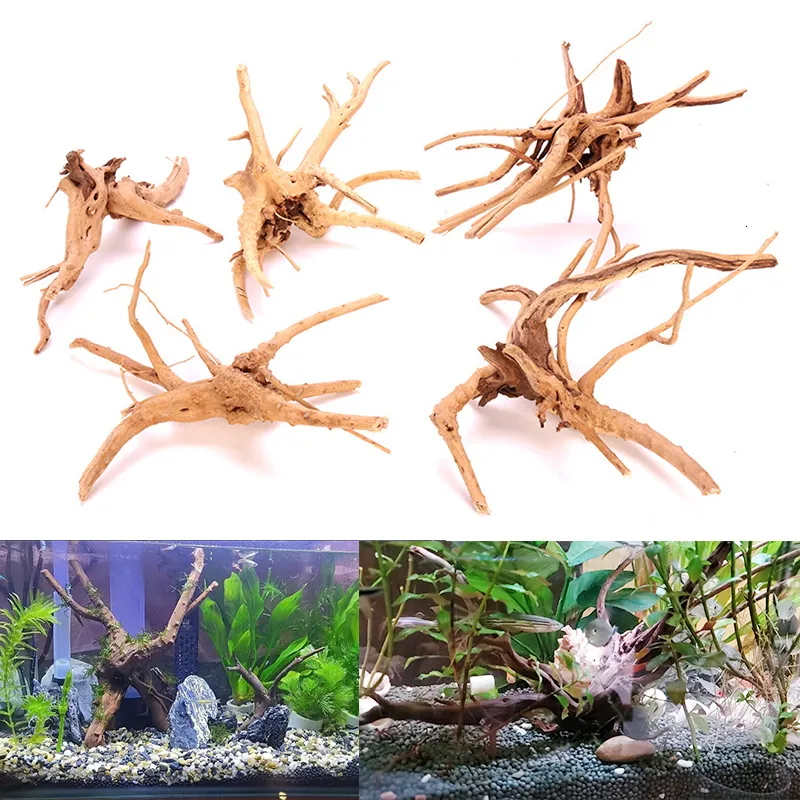 Decorazioni Fish Tank 1PC Driftwood 830cm Tronco d'albero Legno Pesce di grandi dimensioni Serbatoio Driftwood Acquario naturale Pianta Acquario Decorazione acquario 230625