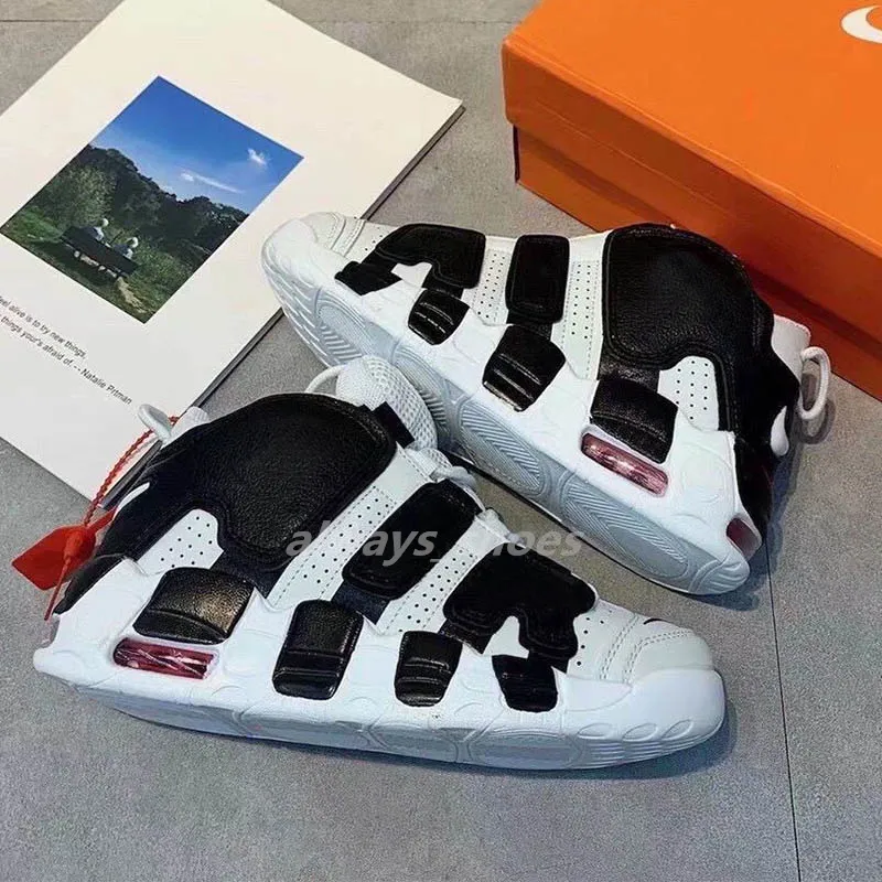 Scottie pippen sales shoes supreme