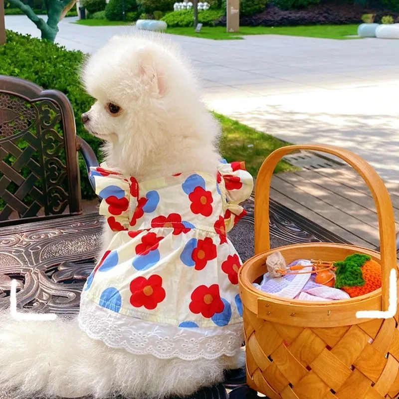 Собачья одежда для любимой собаки платья кошка одежда принцесса весна лето хлопковое цветочное скольжение цветочное кружевное платье юбка для щенки щенки 230625