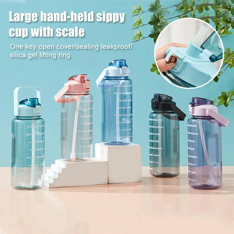 Dropship 2L Sports Water Bottle With Straw Portable Large Capacity Water  Bottles to Sell Online at a Lower Price