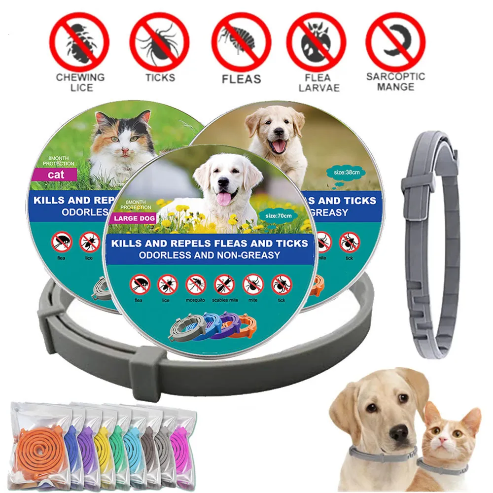 Wholesale 2024 Adjustable Anti Flea And Tick Dog Collar Plastic Black Odorless Non Greasy For Puppies Cats Big Dogs From Dao09 7.14 DHgate.Com