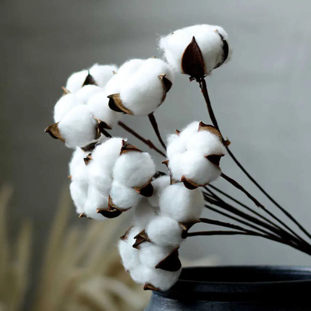 Fleurs séchées gypsophile en coton naturel blanc, 10 pièces, décoration de maison, vraie branche de fleur, Bouquet de demoiselle d'honneur, faux décor