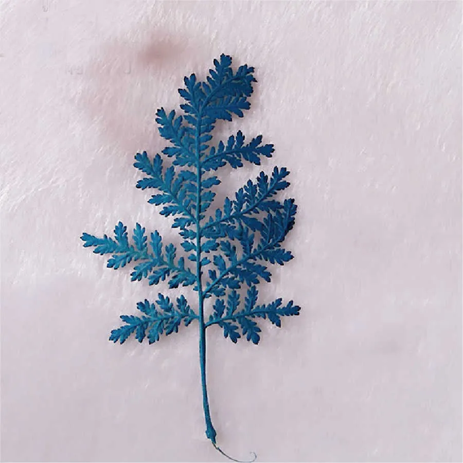 Dried Flowers 60pcs Pressed Dyed Wormwood Leaf Leaves Plants Herbarium For Jewelry Postcard Invitation Card Phone Case Bookmark DIY