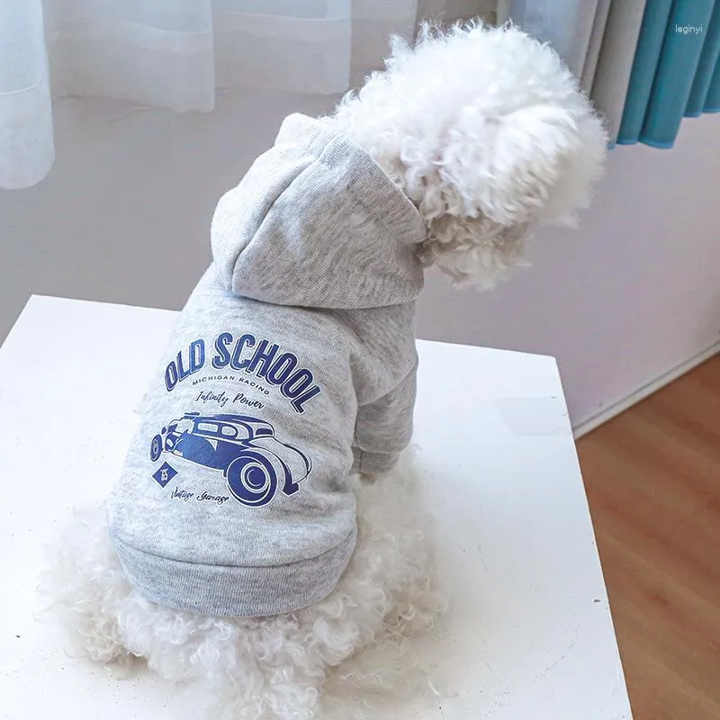 Abbigliamento per cani all'ingrosso di produttori di abbigliamento per animali domestici Primavera autunno e inverno Gatto con cappelli Swea stampato a due zampe