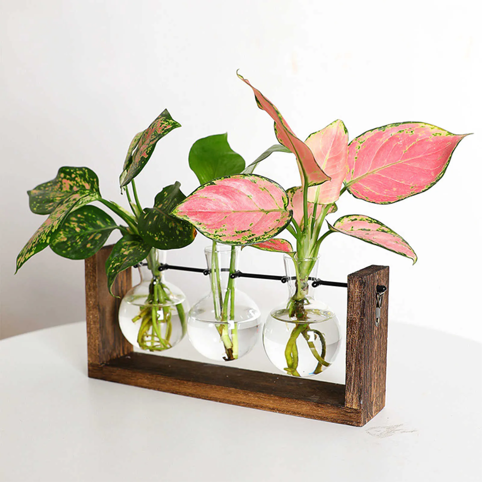 Jardinières avec cadre en verre, Vases pour plantes hydroponiques, bonsaï, Pot de fleur suspendu Transparent avec plateau en bois, décoration murale de la maison
