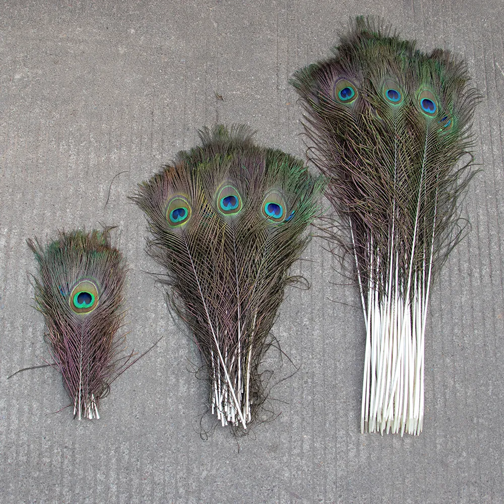 50 Natural Peacock Real Peacock Feathers For DIY Crafts, Wedding Vases,  Jewelry Making, And Home Decor Plumas Accessories Included 230626 From  Bian10, $11.19