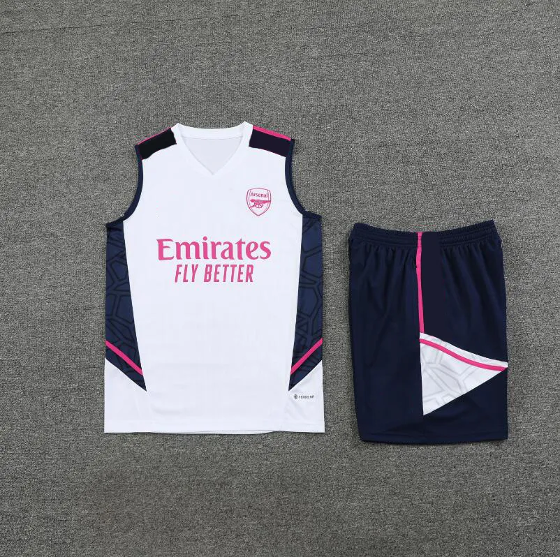 Camiseta de Entrenamiento Arsenal 2023-2024 Sin Mangas Gris