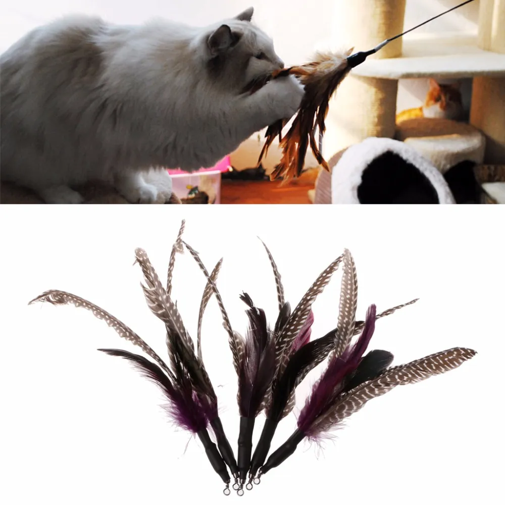 5 pezzi fatti a mano in piuma naturale giocattolo per gatti da uccelli ricariche rompicapo interattivo bastoncini accessori per gatti