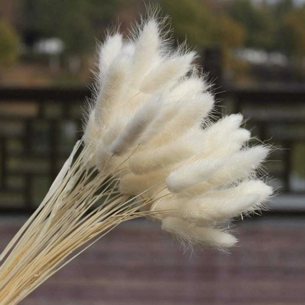 Suszone kwiaty 30pcs kwiat króliczka naturalne rośliny królika trawa bukiet dekoracja domowa akcesoria fotograficzne rekwizyty