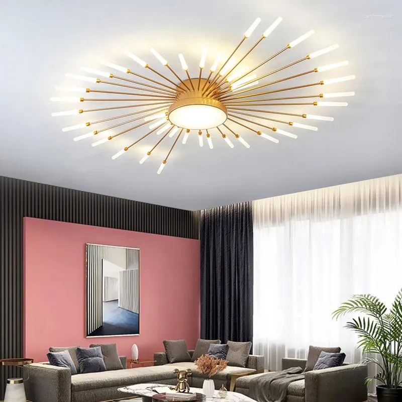 Nice ceiling sale lights