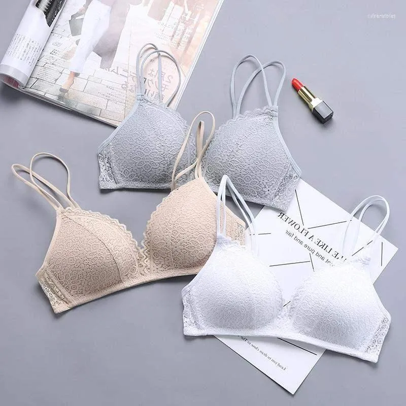 Bras Seamless Sexy Lace For Women Wireless Push Up Bra Comfort Soft White  Black Undearwear Bralette Ladies Lingerie From Depensibley, $19.15