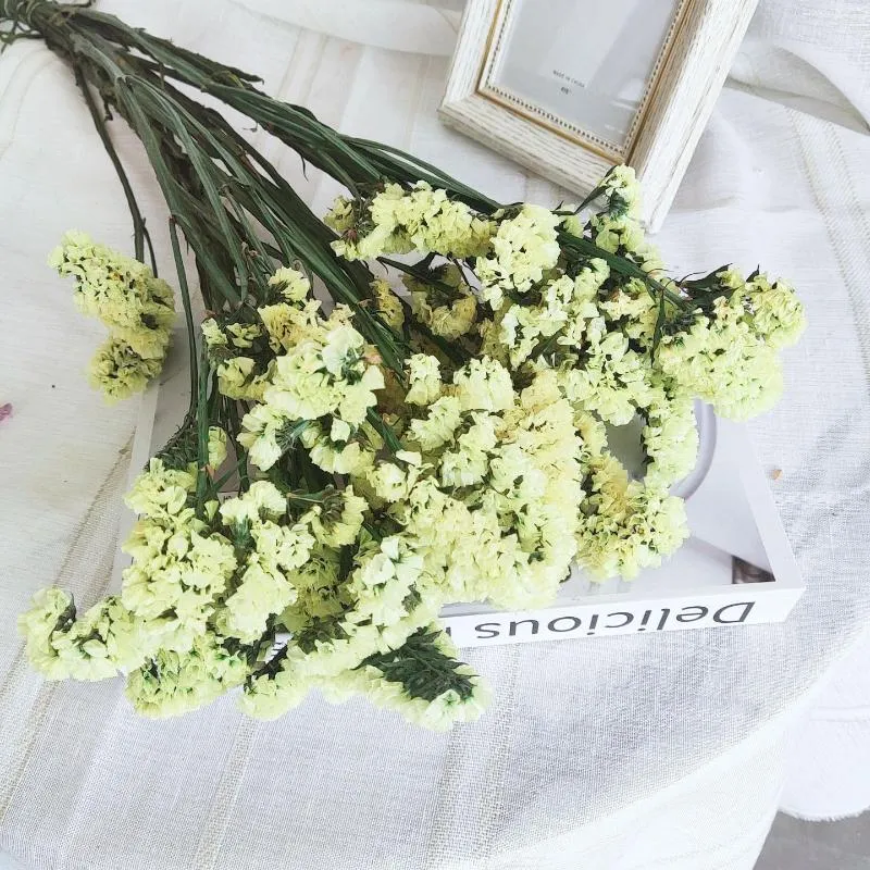 Flowerです ce3eef33-1c5e-4ef0-9a50-