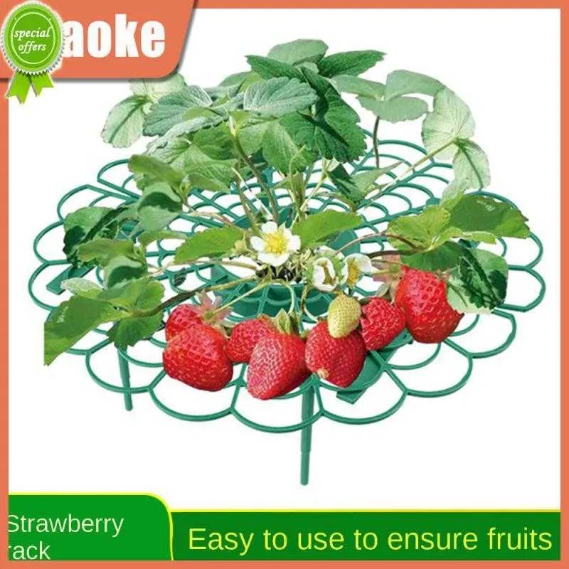 Nouveau support amovible facile à démonter, pas facile à casser, empêche la décomposition des fruits, support circulaire en plastique pour fraises, facile à ranger