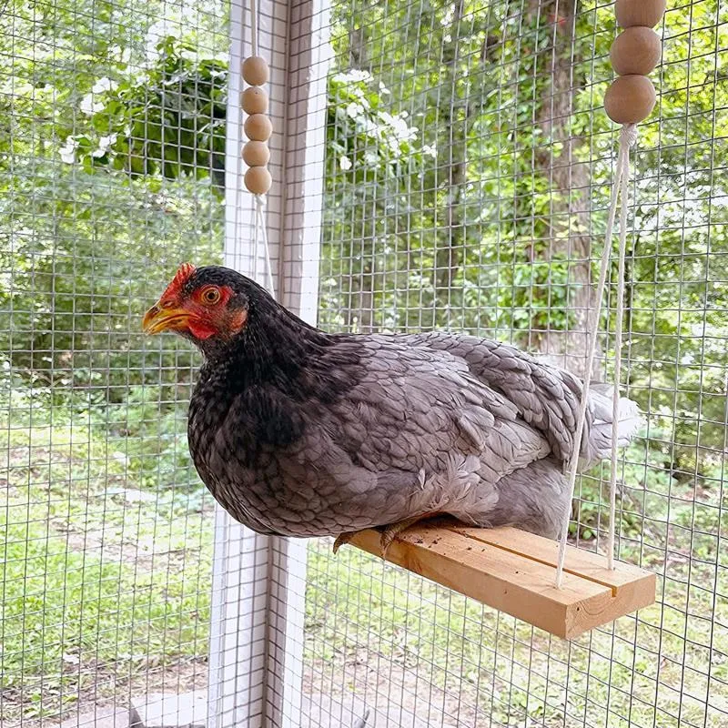 Giocattolo giocattolo di pollo per cooperaggi naturali accessori in legno sicuri fatti a mano con pescelamento durevole uccelli grade di intrattenimento di intrattenimento.