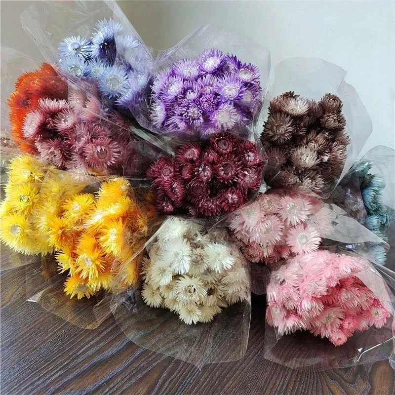 Vegetazione floreale finta 50 g / 30 ~ 40 cm Bouquet di fiori di roccia essiccati naturali reali Rose Eternelles Disposizione floreale margherita secca per la decorazione di nozze Casa 230627