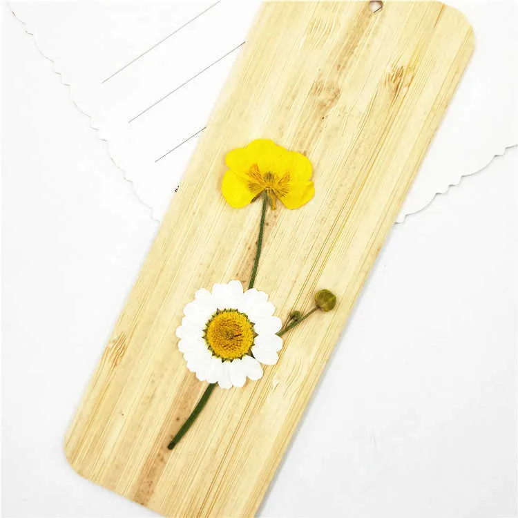 Dried Flowers 6-9cm/16pcs Natural color Pressed buttercup with Eternal flower for DIY Bookmark Gift Card christmas candlestick decoration