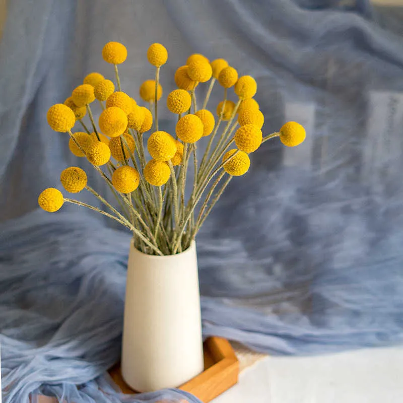 Torkade blommor naturliga färska craspedia globosa blomma buketter växt gäng billy knappar gyllene sfär blommor för heminredning gåvor